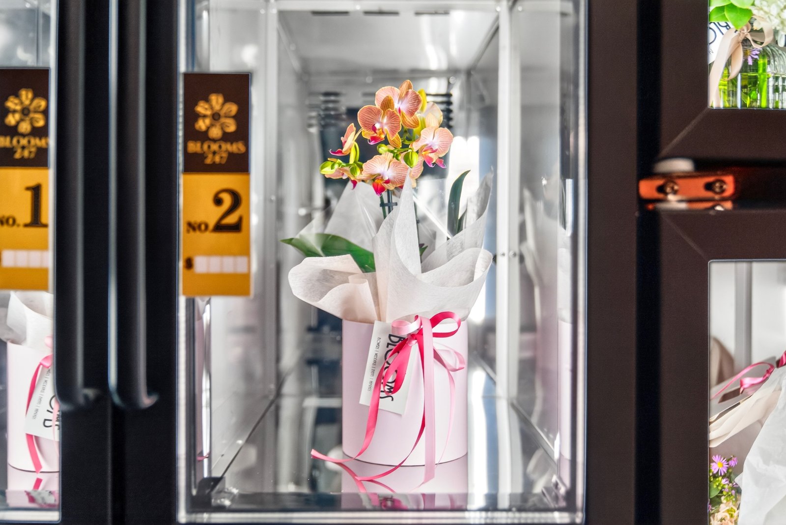 Blooms247 machine photo