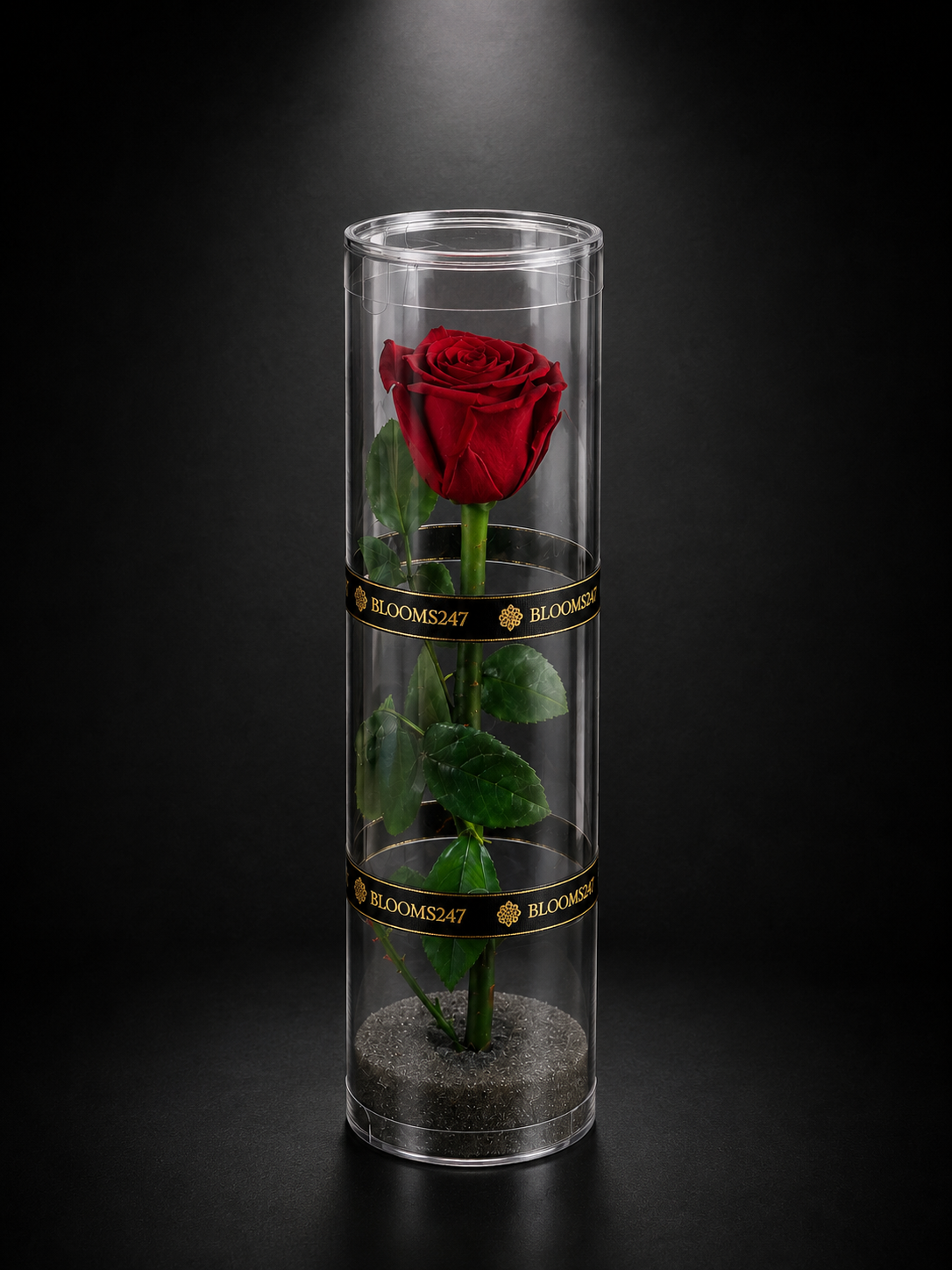 The Solitaire Rose